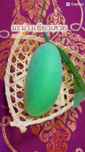 ผลไม้ปลอม มะม่วงเขียวเสวย(ลูกเล็ก) ความยาว 15ซม. กว้าง6ซม. วัสดุผลิตจากโฟม