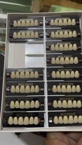 Gigi depan atas isi 16 papan 1 box