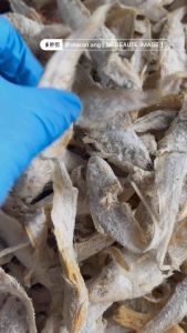 Ikan Masin Bulu Ayam (200gram or 500gram) fresh and sedap