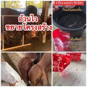 ยอดขายอันดับ1เทพบุตรโปรพลัส วิตามินบำรุงสัตว์ 1ถุง (1กิโลกรัม)