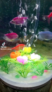 AQUARIUM MINI JUMBO (SIZE 15/30) DILENGKAPI MESIN AERATOR PLUSH LAMPU COLOKAN LISTRIK 3WAT