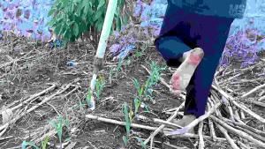 Maron squad alat pupuk paralon full set tinggal pakai