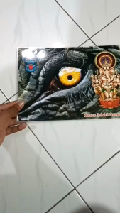 [TAMIL] KANNU DRISHTI GANESH {LAMINATE PHOTO}