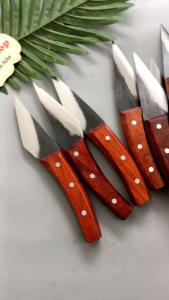 Dao Ghép Cành Cây Cắt Chỉ Phao Nhíp Xe Chuẩn Đẹp