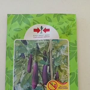 Bibit Benih Unggul Terong Ungu Cap Panah Merah MUSTANG F1 isi 1.100 Butir Original