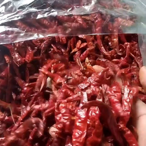 Cabe Rawit Kering Teja Japlak 250 gram Tanpa Tangkai