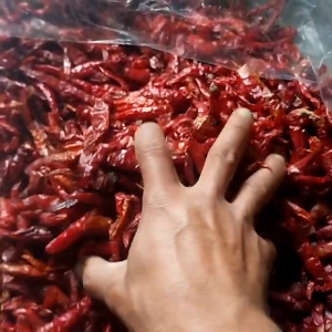 1kg Cabe Rawit Kering Teja Super Pedas