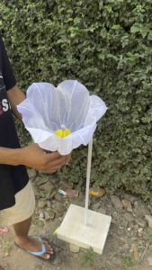 Dekorasi Pelaminan & Lampu Hias: Tips Memilih Standing Bunga Lily & Lampu Ruang Tamu