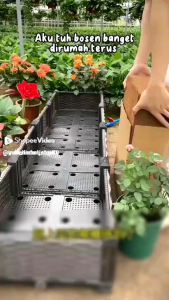 AGROPIN media tanam cocopeat blok 1kg mengembang hingga 6x dari ukuran semula kualitas export