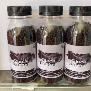 Pelet Channa Asiatica WS Kemasan Botol 100ml Pelet Black Darker