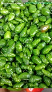 cabai gendot segar 1 kg