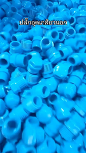 PVC หัวอุด/ปลั๊กอุดเกลียวนอก ใช้สำหรับ ปิดปลายท่อหรือช่องเกลียวที่ไม่ได้ใช้งาน เพื่อป้องกันน้ำรั่ว สิ่งสกปรกเข้า หรือหยุดการไหลของระบบประปา/ระบายน้ำ. สามารถถอดเข้า-ออกได้ง่ายต่างจากการปิดตาย