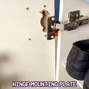 Plat Perbaikan Engsel Pintu Lemari / Plat Engsel Pintu Kabinet