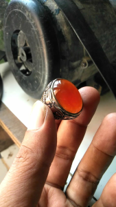 NATURAL CINCIN RAFLESIA BENGKULU