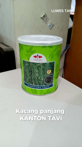 (Kemasan kaleng 500gr) Benih Kacang Panjang Kanton Tavi 500gr