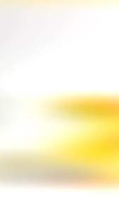 GATA หลอดไส้ หลอดร้อน ใช้ฟักไข่ 60W แสงส้ม ขั้ว E27 หลอดแก้วใสแบบร้อน ให้ความอบอุ่น <ยกลัง> คุ้มค่าส่ง