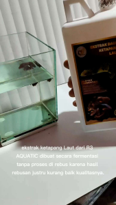 EKSTRAK DAUN KETAPANG LAUT KEMASAN 1 LITER PEKAT SUDAH DI OLAH FERMENTASI SIAP PAKAI