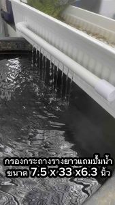 กรองกระถางรางยาวสีขาวมินิมอล แถมปั้มน้ำ 1 ชิ้นพร้อมใช้งาน กรองคอนโด กรองคอนโดตู้ปลา ตู้ปลาสวย กรองน้ำตู้ปลา กรองซุปเปอร์