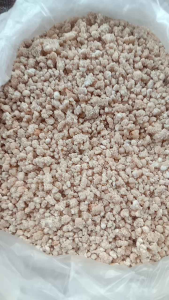 SAGU RUMBIA KERING / BEUREUNE SAGEE KHAS ACEH