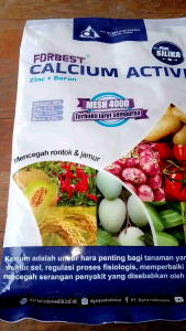 PUPUK FORBEST CALCIUM ACTIVE ZINC + BORON PLUS SILIKA MESH 4000 1KG Terbukti Larut Sempurna