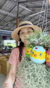 ((1ชุด3ตัว))เคราฤาษีแต่งตุ๊กตาลูกไก่ ตัวใหญ่สีสวยสดใส(งานใหม่)