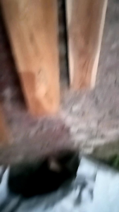 Raskam Kayu Jati Asli Trowel Bangunan ukuran 45cm Roskam Kayu
