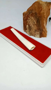 Padutan Tulang Sapi Semi Belimbing H205: Informasi Produk Asli & Kata Kunci SEO untuk Penjualan