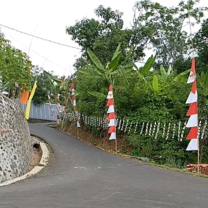 Alat Untuk Mengusir Burung Lebar 2-3 cm Panjang 800 m