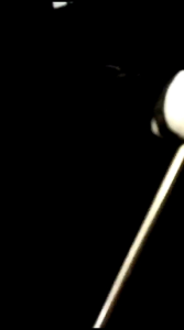 Stick Bass Hadroh/Stick Bass Stenlis Habsy