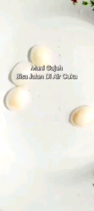 Batu Cincin Akik Mani Gajah Putih / MG Alam