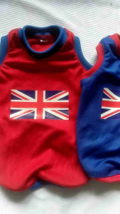 Baju Kucing Anjing England
