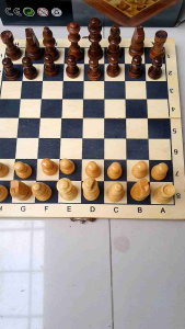 Catur Kayu Premium Ukuran 21 cm x 21 Import Rapih