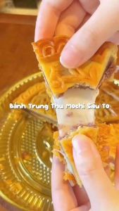 Baked Mochi Mooncake ( 1 pcs/ 500g ) bánh mochi nướng khoai môn trứng muối chà bông
