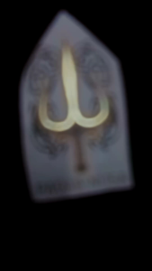 KAOS PAGAR NUSA TRISULA