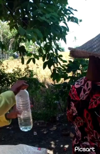 BENIH PADI INFARI MAPAN  P05 KUALITAS UNGGUL SUPER GENJAH kemasan 1kg