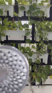 AMAZON หัวฝักบัวอาบน้ำ 3 ระบบ ผลิตจากพลาสติก ABS ชุบโครเมียม รุ่น H-936