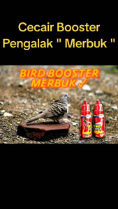 ⚡⚡𝐅𝐀𝐒𝐓 𝐒𝐇𝐈𝐏𝐏𝐈𝐍𝐆⚡⚡ 𝐉𝐀𝐌𝐔 𝐁𝐎𝐎𝐒𝐓𝐄𝐑 ✅𝐌𝐄𝐑𝐁𝐔𝐊 ✅𝐓𝐄𝐑𝐊𝐔𝐊𝐔𝐑