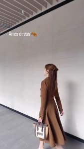 Double y – Anes set dress ชุดเซทสูทกระโปรงยาว (สีน้ำตาล)