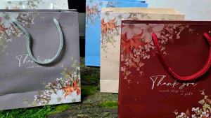 Paper Bag Perkhawinan Decoration /10 Pcs Per Pkt Paper Bag / Bag Gift Perkhawinan / DIY Decoration Bag / Bag Murah #Murah / Bag Jamuan / Wedding Gift Perkhawinan Bag / DIY Decoration Bag / Doorgirft Pembungkusan Bag.