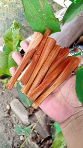 Pipa Cangklong Kayu Damar Pinus 11cm Tembus Senter