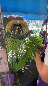 โอเอซิส CNP ขายยกลัง.