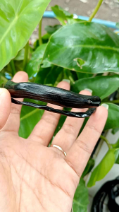 Gelang Akar Bahar Hitam: Pilihan Tepat Untuk Pria