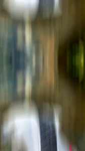 SEPATU BOLA pria dewasa