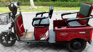 Sepeda Listrik Roda 3 Antelope MAX 500Watt 48V 20Ah