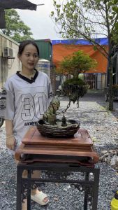 Đảo bay tiểu cảnh rồng vàng thu hút tài lộc sức mạnh và bình an... (không kèm cây)