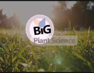 BiG Plant Science Flower Explosion ปุ๋ยน้ำกรดอะมิโนที่ให้ดอกสวย