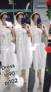 Dressfashion