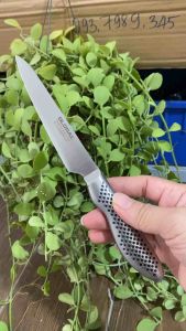 Dao gọt hoa quả dài 22cm dày 2li liền khối không rỉ sắc bén và dễ mài sắc