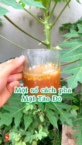 Mật Táo Đảng Sâm🍎Dưỡng sức khỏe Khí huyết Nhan sắc Da mịn hồng hào và Tóc dày TÂM AN Natural