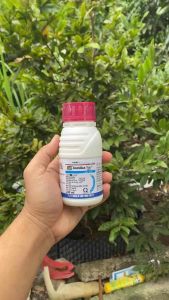 THUỐC TRỪ BỆNH AMILKA TOP ĐẶC TRỊ NẤM GÂY HẠI CHAI